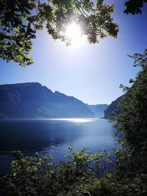 Appartamento Casa da Ste Mandello del Lario Esterno foto