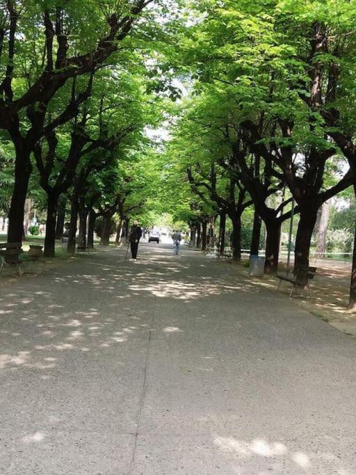 Appartamento Casa da Ste Mandello del Lario Esterno foto
